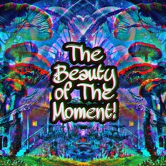The Beauty of The Moment!
