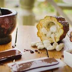 Review Special Price Project Chocolat Tree To Bar Tour At Hotel Saint Lucia