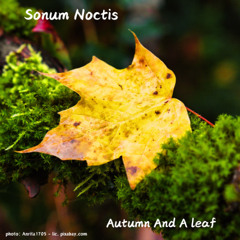 Autumn And A Leaf