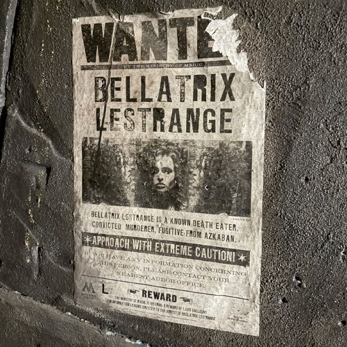 bella lestrange
