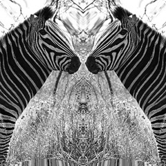 ambient intrigueries