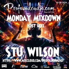 #153 Profound Radio  Progressive House  @djstuwilson