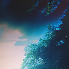 Whispers In The Ripples (Nature, Piano, Keys and Live Ambient Soundscapes)