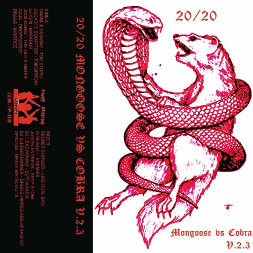 THE OLD FIGHTER_  [CLAN DESTINE RECORDS] MONGOOSE VS COBRA- V.2.3