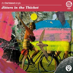 Jitters in the Thicket