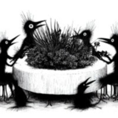 Wildpflanzen essen – am Mittagstisch mit Elena Velychko