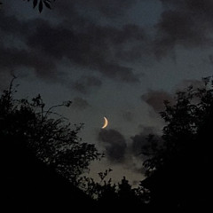 Talking to the moon (Brax Miller Remix)