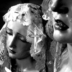 Mother Mary - Mr Kitty (pitched)