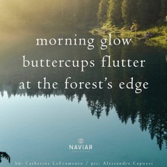 haiku #491: morning glow / buttercups flutter / at the forest’s edge