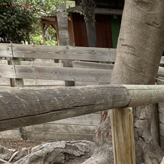 press da button slowed-young adz