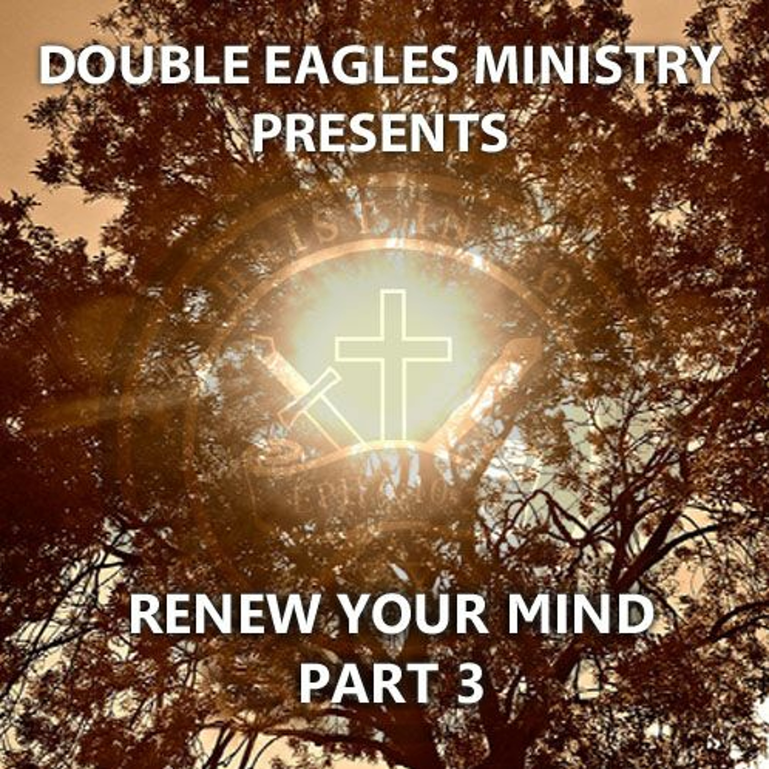 Renew Your Mind, Pt 3 episode artwork