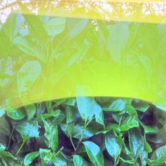 We got something at the store for you