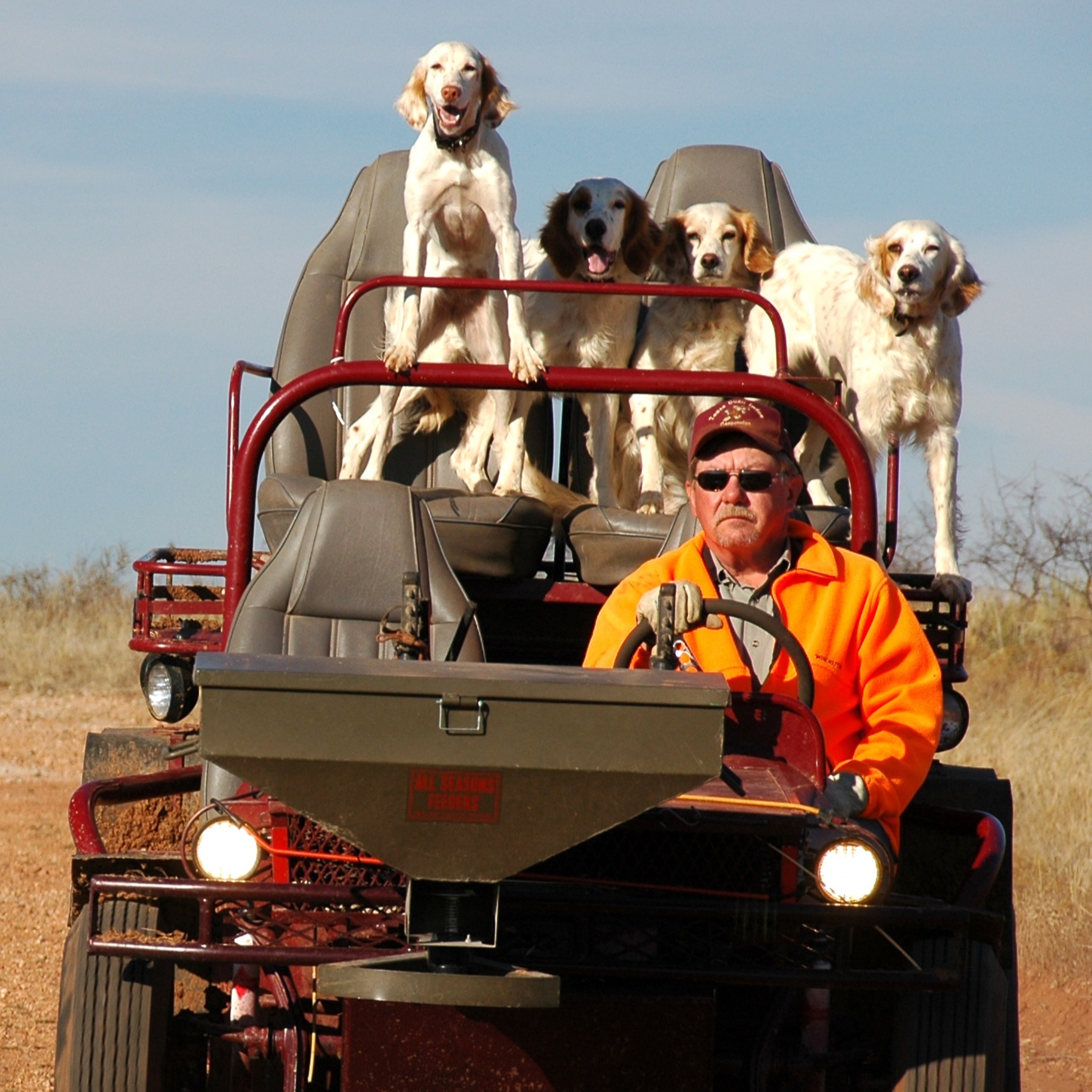 Dr. Dale on Quail