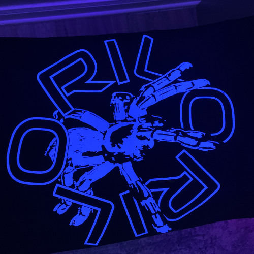 RILO Swing