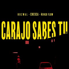 Carajo Sabes Tu (with Ñengo Flow, Hozwal)