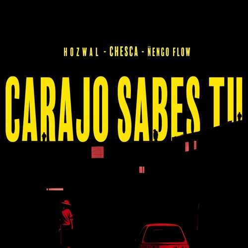 Carajo Sabes Tu (with Ñengo Flow, Hozwal)