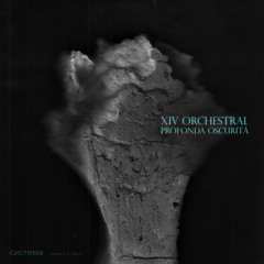 XIV Orchestral - Profonda Oscurità