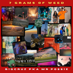 7 GRAMS OF WEED