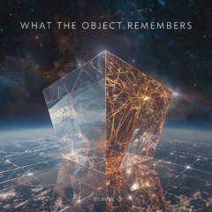 What the Object Remembers