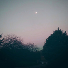 Save Me From The Bottom (prod. thersx)