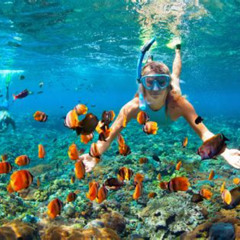 Best Snorkeling In Caribbean For Beginners Prices Reviews