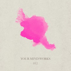 your Mind works - 012: IDM