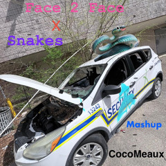 Face 2 Face x Snakes Mashup