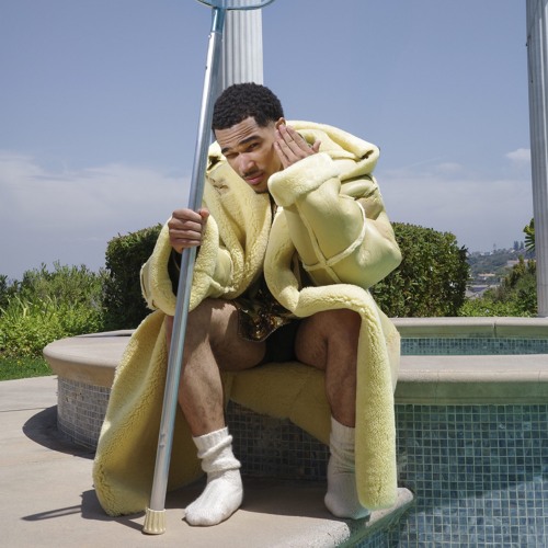 Plaqueboymax - hawaii