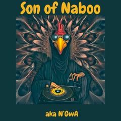 Son Of Naboo aka N'GwA - Hikayam Violent Session DJ Set