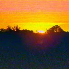 STONEDOGG - HASH (PROD. FRUCTUOSO)