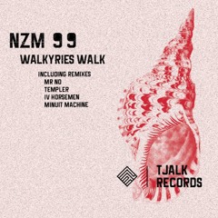 𝐏𝐑𝐄𝐌𝐈𝐄𝐑𝐄 | NZM99 - Nobody Dance (Original Mix)