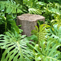 Pablo Randur @TREKK: Amazonas