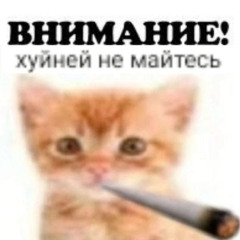 какой хороший день чтоб пойти на СВО