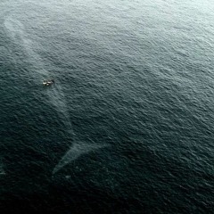 Ocean 3 (final chapter)