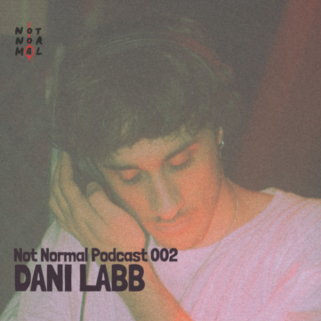 Stream Not Normal Podcast 002 : Dani Labb by NOT NORMAL | Listen online ...
