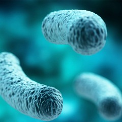 Lactobacillus Acidophilus Supplement | Balance Bacteria Growth & Promote Digestive Health