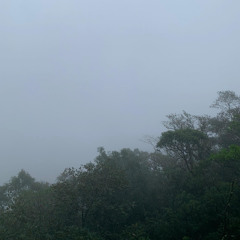 Rooftop 012 - below the fog there is green