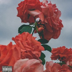 🌹Down 🌹(prod. by Monte Booker)
