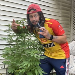 Lil Zae - Trapsgiving