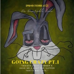 Going Crazy Pt.1[prod.Tedbeatz]