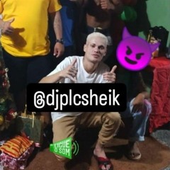 17 MINUTIM NO PIQUE NATANZINHO LIMA -( DJ PLC SHEIK )' DJ's LUAN ,2N ,GS ,NIKÃO E BN - 2028 - OFC