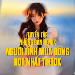 Anh Ơi Cho Em Hỏi Đường Này Là Đường Gì Anh (Người Tình Mùa Đông Remix)