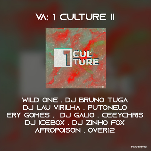 Spilulu, Dj Renaldo, GNB Nega - Shina Commando (Afropoison & Over12 Remix)