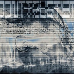 DONTTRUST'EM CLiPS W/ NHAPESS