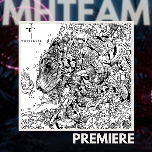 PREMIERE: Ten Walls - Cadencia [White Rose Recordings]