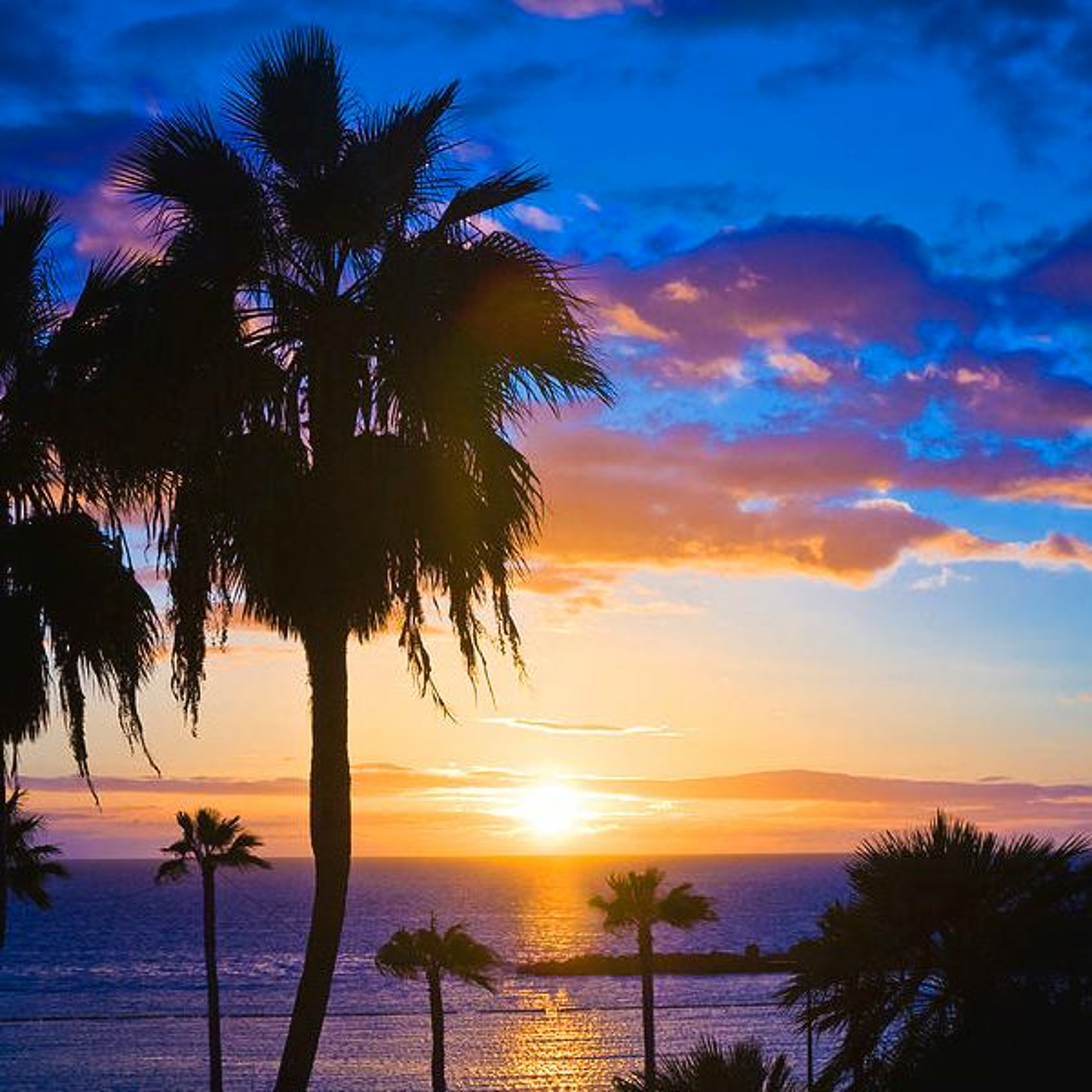 Chillout Sunset Sessions WIL137 - Groove, Ambient, Disco, Soul, Balearic, R&B, Latin, Funk, House