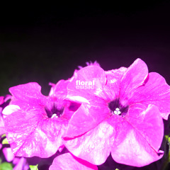 floral
