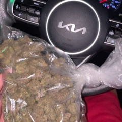 Lil Coyo - Where the Bag (prod. PAINBEATS)