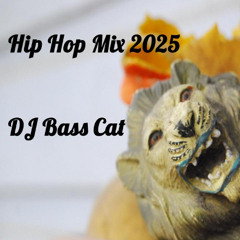 Bass Cat's Hip Hop Mix