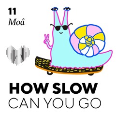 How Slow Can You Go #11 - Moå